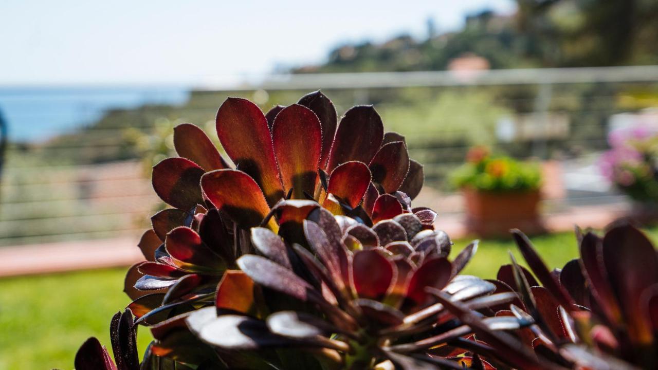Italianway - Delle Ginestre 28 Lägenhet Marina dʼMarina dʼAndora Exteriör bild