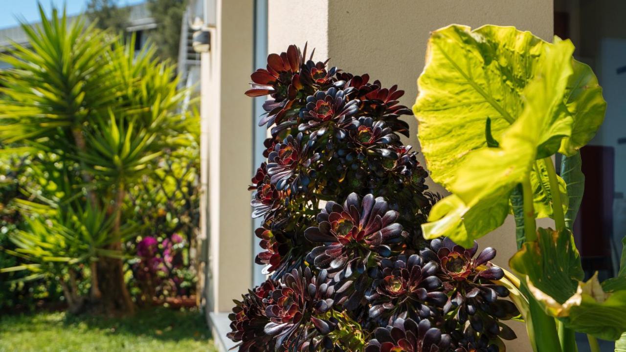 Italianway - Delle Ginestre 28 Lägenhet Marina dʼMarina dʼAndora Exteriör bild